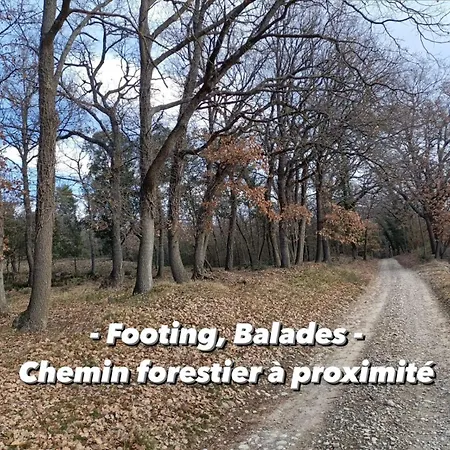 Avec Terrasse Privée Proche Des Gorges Du Verdon